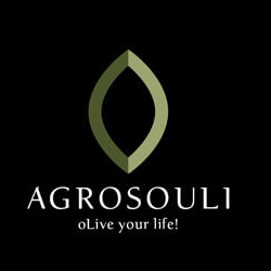 agrosouli_logo2020