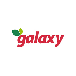 galaxy_logo2020